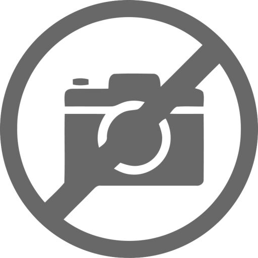 Alternator 555.507.090.210