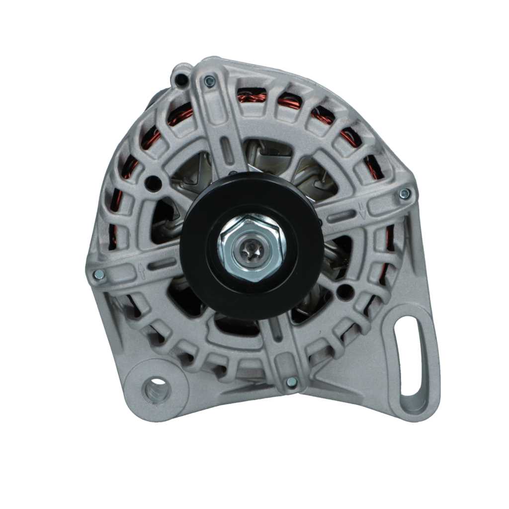 Alternator RNLNRG9S011